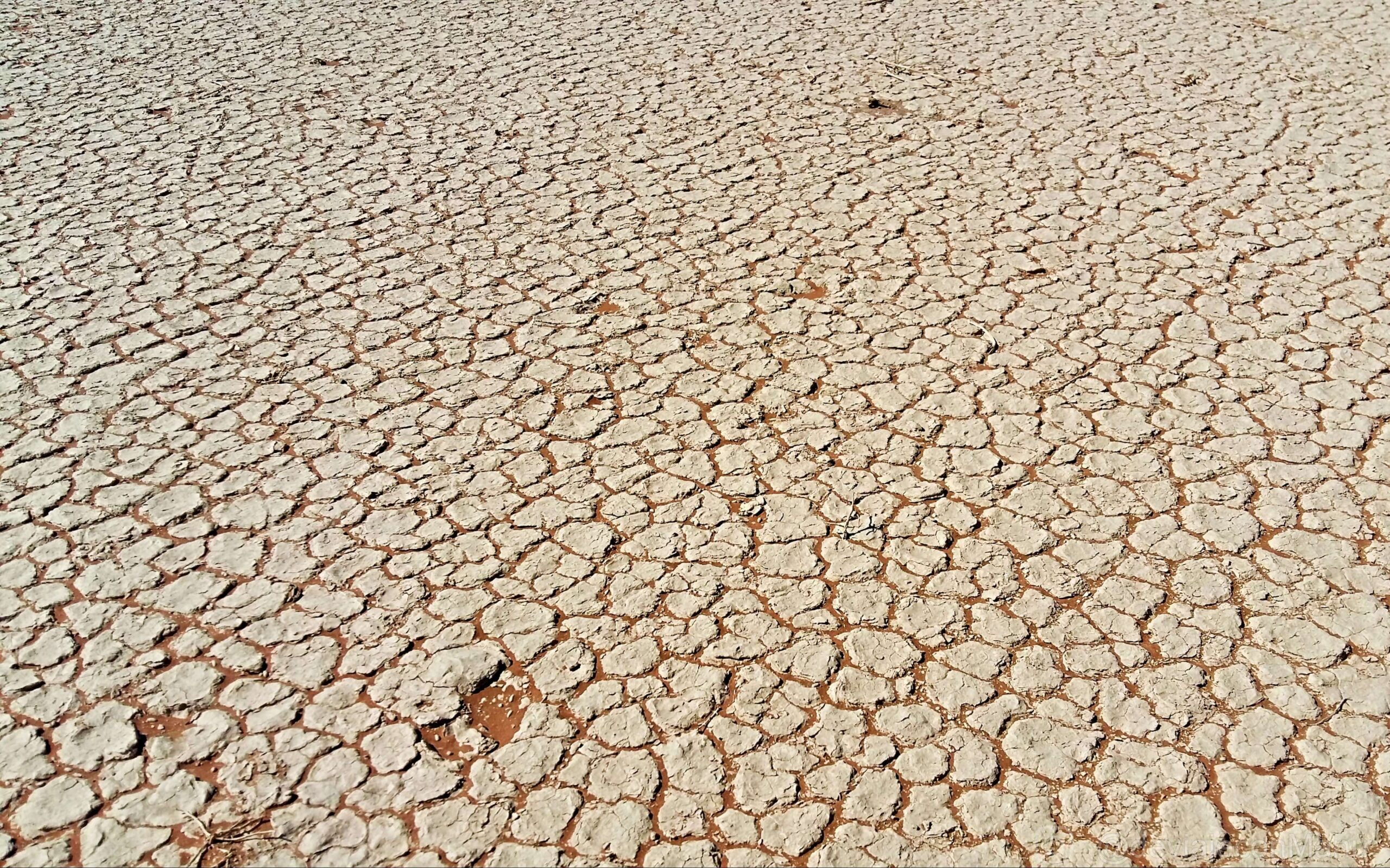 Desierto seco
