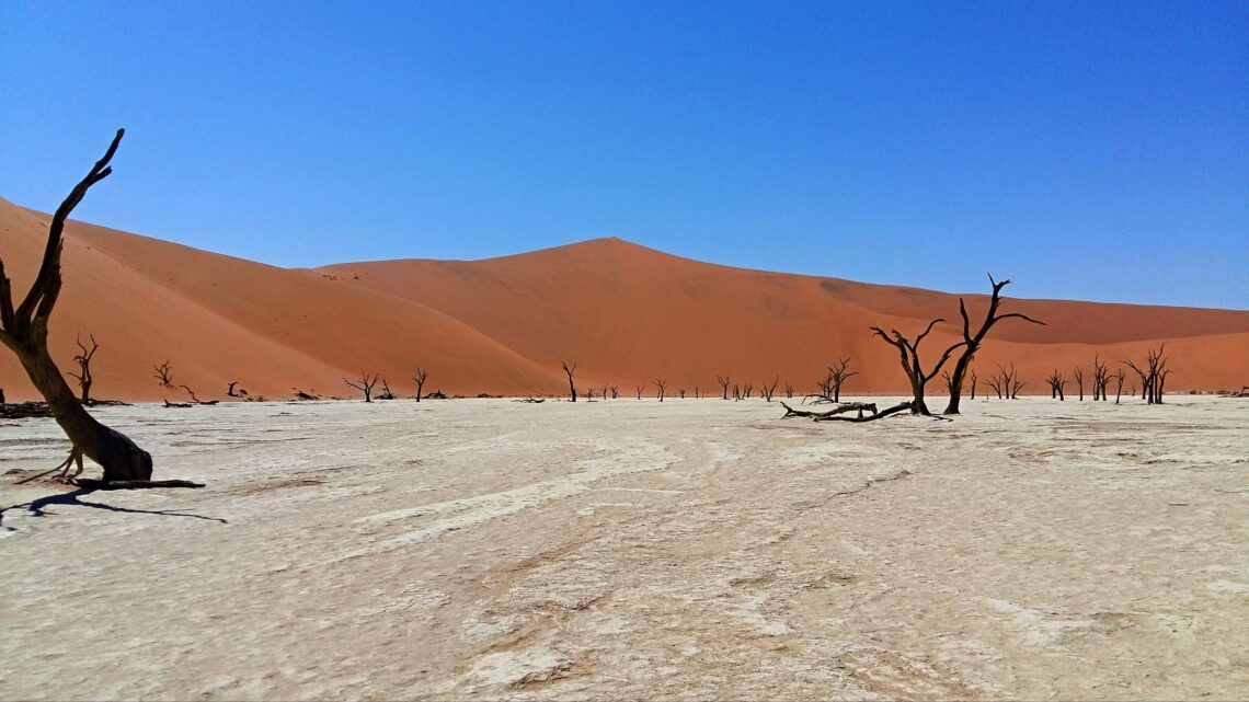 El desierto del Namib