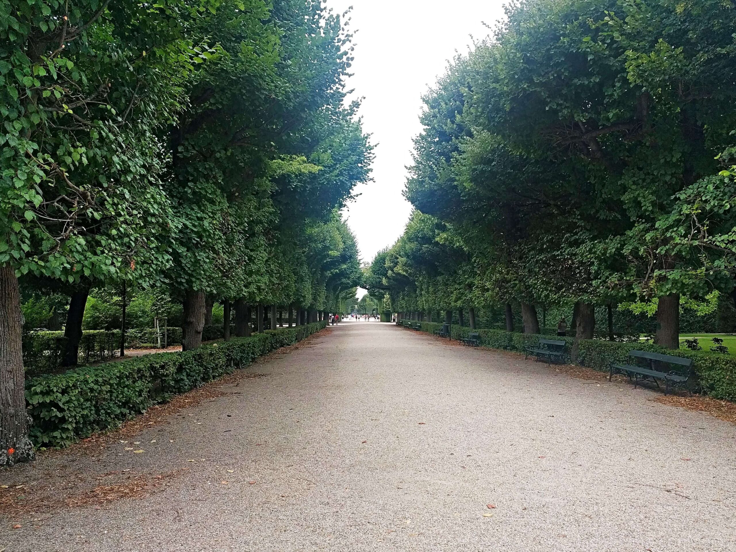 Schonbrunn jardines